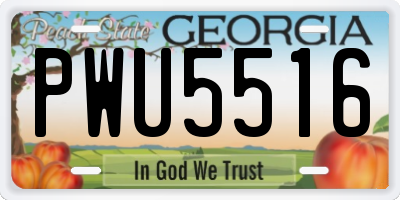 GA license plate PWU5516
