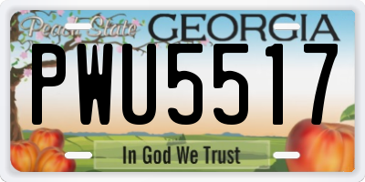 GA license plate PWU5517