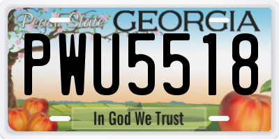 GA license plate PWU5518