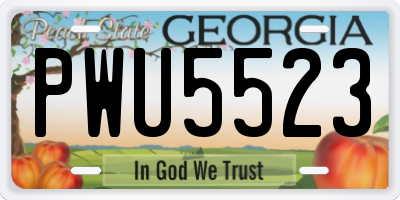 GA license plate PWU5523