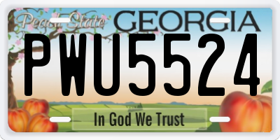 GA license plate PWU5524