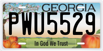 GA license plate PWU5529