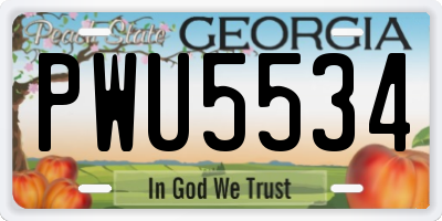 GA license plate PWU5534
