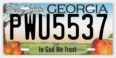 GA license plate PWU5537