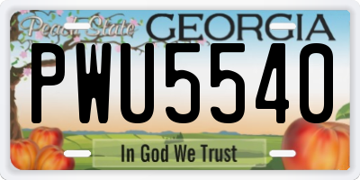 GA license plate PWU5540