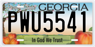 GA license plate PWU5541