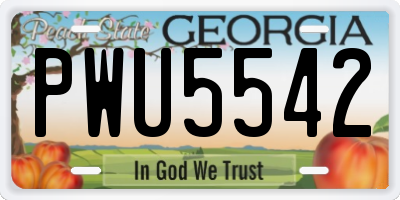 GA license plate PWU5542