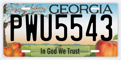 GA license plate PWU5543
