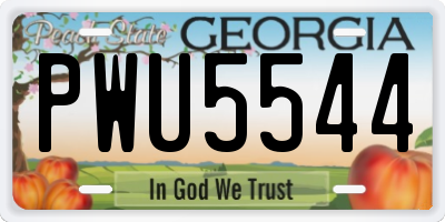GA license plate PWU5544