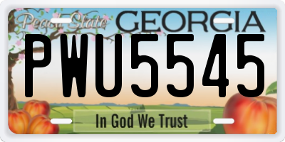 GA license plate PWU5545