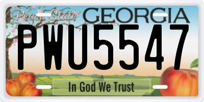 GA license plate PWU5547