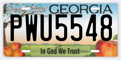 GA license plate PWU5548