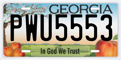 GA license plate PWU5553