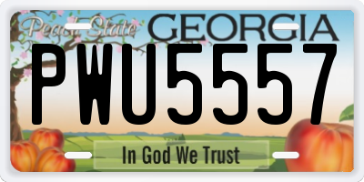 GA license plate PWU5557