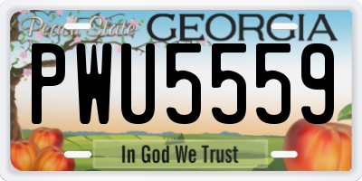 GA license plate PWU5559