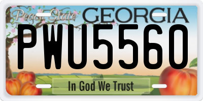 GA license plate PWU5560