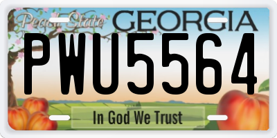 GA license plate PWU5564