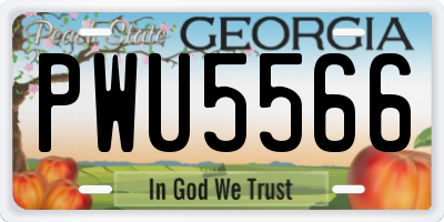 GA license plate PWU5566