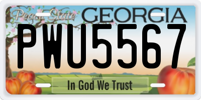 GA license plate PWU5567