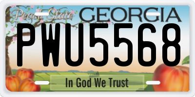 GA license plate PWU5568