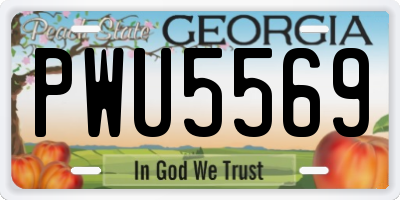 GA license plate PWU5569