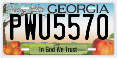 GA license plate PWU5570