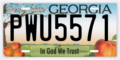 GA license plate PWU5571