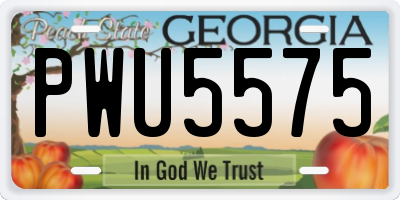GA license plate PWU5575