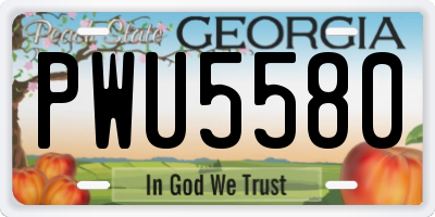 GA license plate PWU5580