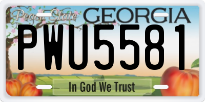 GA license plate PWU5581
