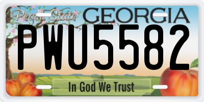 GA license plate PWU5582