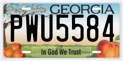 GA license plate PWU5584