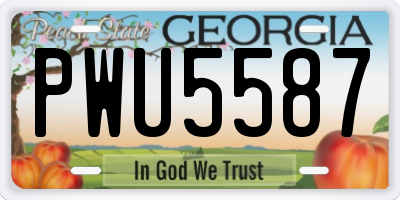 GA license plate PWU5587