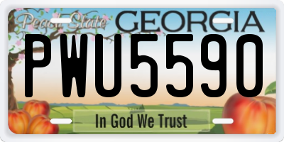 GA license plate PWU5590
