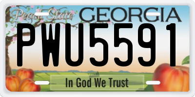 GA license plate PWU5591