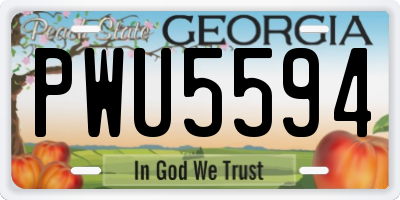 GA license plate PWU5594
