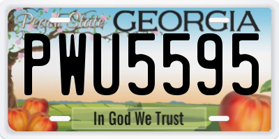 GA license plate PWU5595
