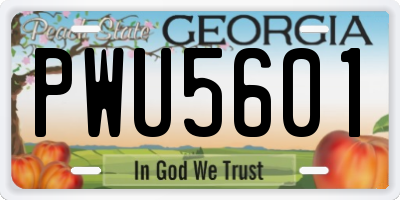 GA license plate PWU5601