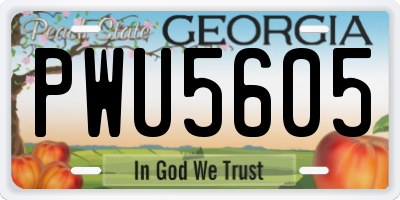 GA license plate PWU5605