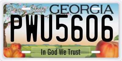 GA license plate PWU5606