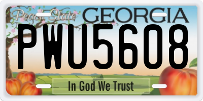 GA license plate PWU5608