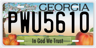 GA license plate PWU5610