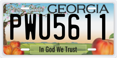 GA license plate PWU5611