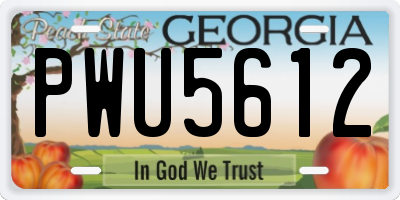 GA license plate PWU5612