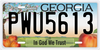 GA license plate PWU5613