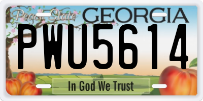 GA license plate PWU5614