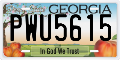 GA license plate PWU5615
