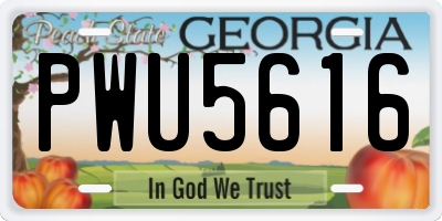 GA license plate PWU5616
