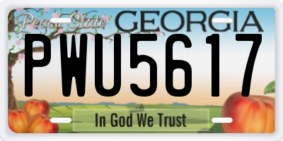 GA license plate PWU5617