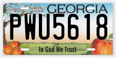 GA license plate PWU5618